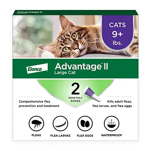 Advantage II for Cats