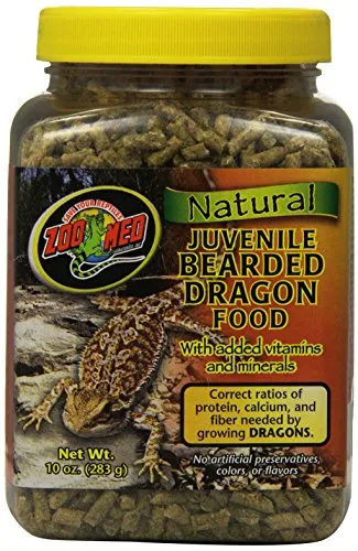 Bearded Dragon Food