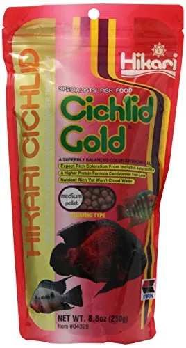 Cichlid Gold