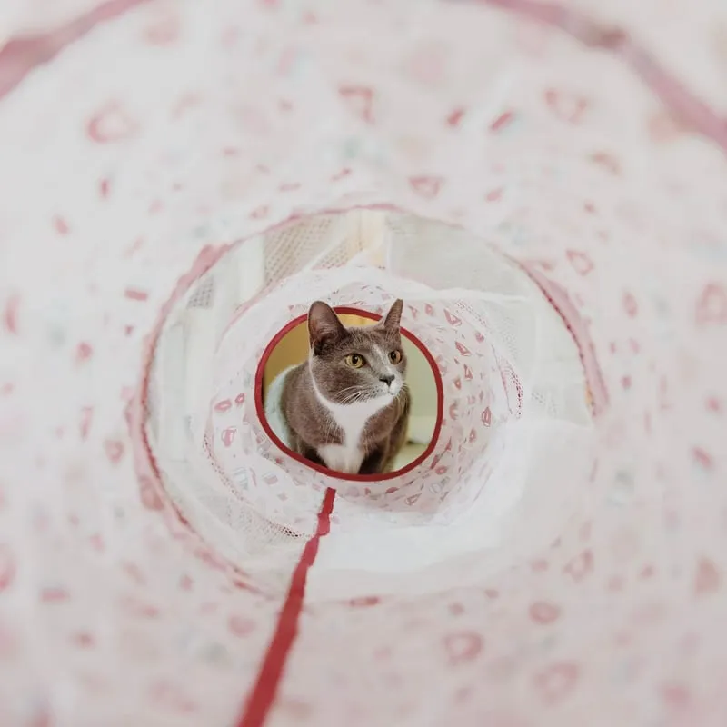 Collapsible Cat Tunnel