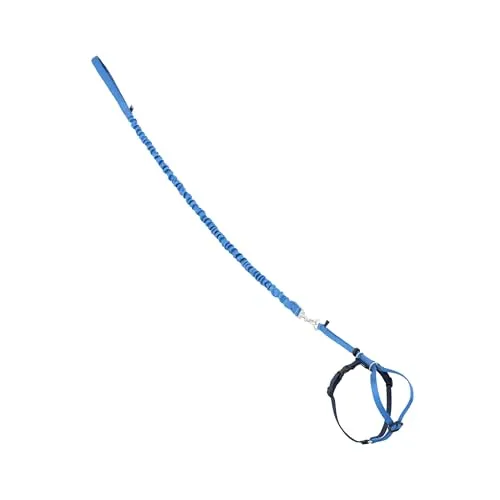 Come with Me Kitty Harness & Bungee Leash