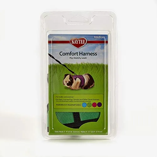 Comfort Harness & Leash