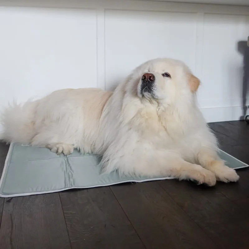 Cooling Mat