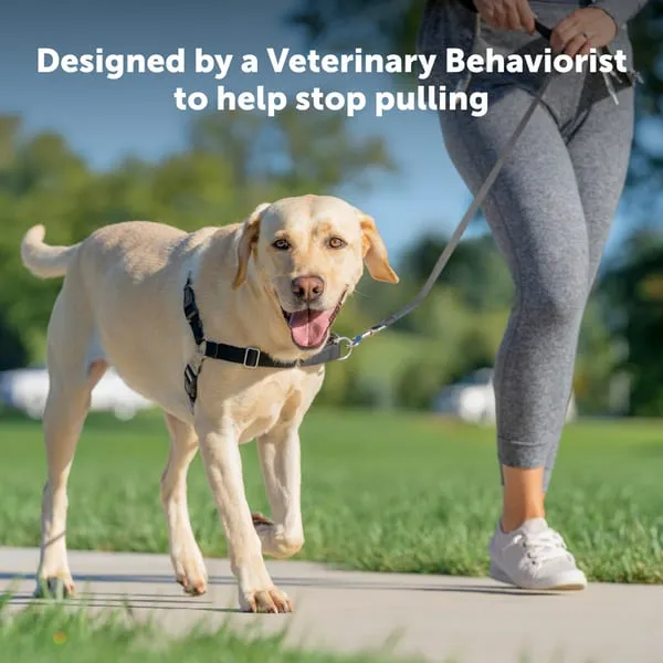Easy Walk Harness