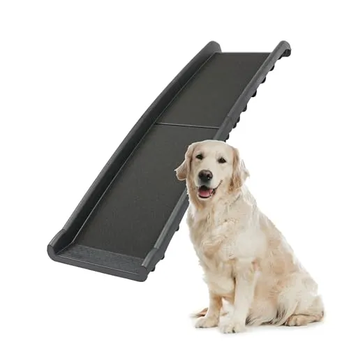 Folding Dog Ramp