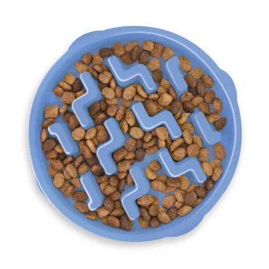 Fun Feeder Slow Bowl