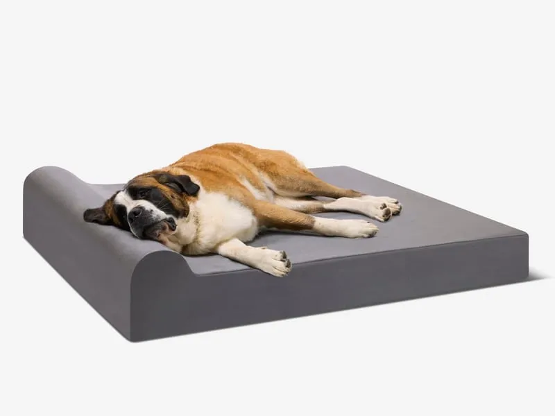 Orthopedic Bed
