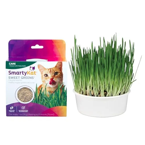 Sweet Greens Grass Kit